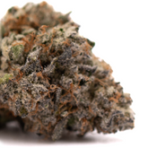 Dried Jokerz Candy’s Orchard Swirl cannabis bud with orange pistils and trichomes